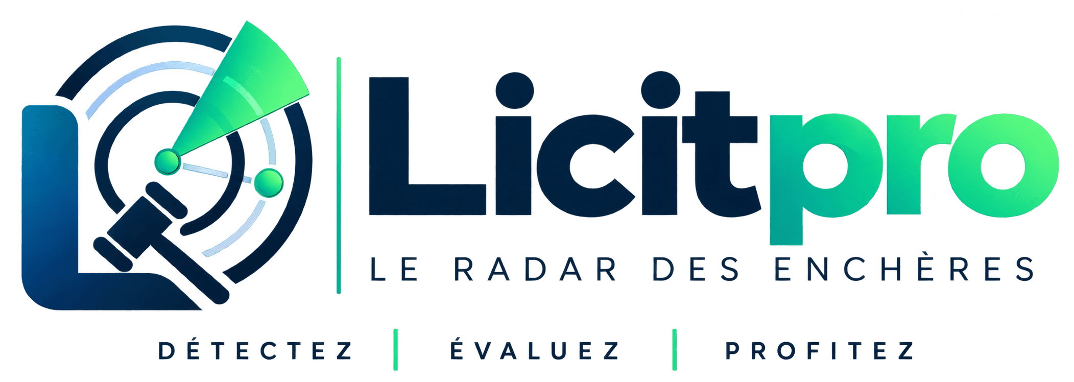 Licitpro — le radar des enchères